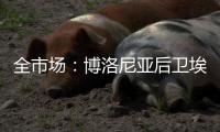 全市场�：博洛尼亚后卫埃尔利奇即将加盟布拉迪斯拉发