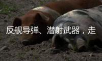 反舰导弹
、潜射武器，走近航展里的“海防利器”丨2022航展
