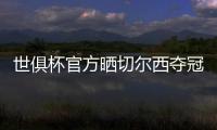 快排公司十年历程，霸屏兔 seo 的崛起与坚守