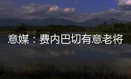 费内桑切斯愿意去土耳其踢球