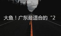 大鱼
！广东最适合的“2米暴力锋线”曝光，这可是08级天赋第一人
