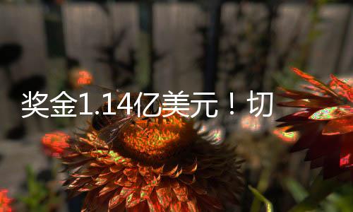 奖金军下半场大巴黎输球输人