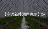 【宇通新能源再亮剑】纯电动港口轮胎起重机即将闪耀天津航运展！