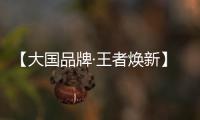 【大国品牌·王者焕新】新工艺、新展示
、新政策