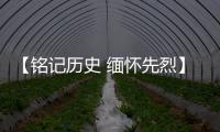 【铭记历史 缅怀先烈】广东博罗
：传承抗战精神 加快推动高质量发展