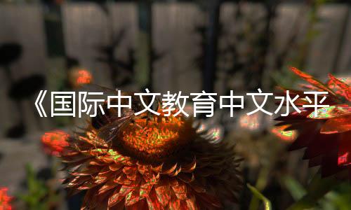 等级便于实施的标准规范标准