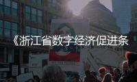 《浙江省数字经济促进条例》3月1日起实施 系国内首部