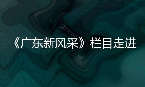 新风采的广东企业代表
