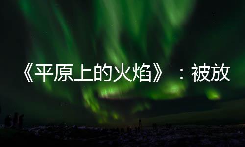 李守廉（李斐的火焰父亲
