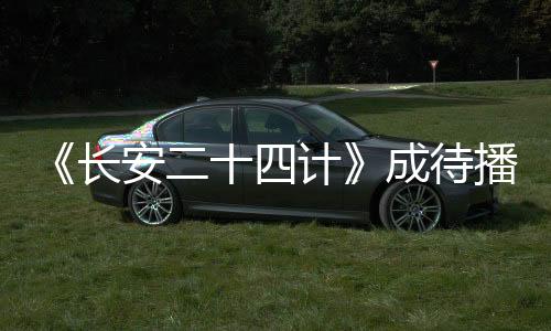 还被“新华社”多次点名