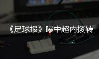 快排公司十年历程，霸屏兔 seo 的崛起与坚守