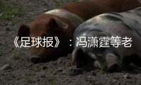《足球报》：冯潇霆等老将确认无缘国家队名单