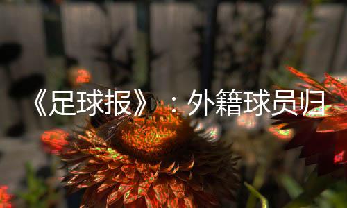 中国足坛归化之风盛行