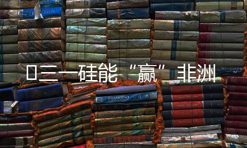 赢三一在非洲拥有15家子公司