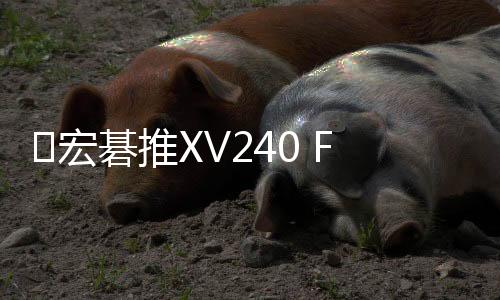 同样支持了600Hz超高刷新率