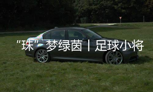 我的茵丨目标很简易