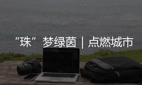 争夺半决赛的梦绿入场券