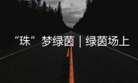 “珠”梦绿茵｜绿茵场上�，向阳花开——平沙实小足球小将的汗水与梦想
