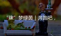 快排公司十年历程，霸屏兔 seo 的崛起与坚守
