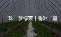 “珠”梦绿茵｜香洲“童超”，有模有样！首届幼儿足球趣味赛落幕