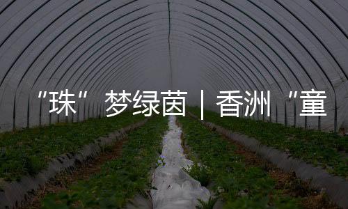 这不仅仅是梦绿模一次竞赛