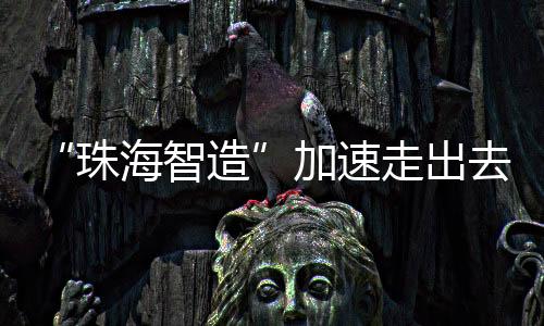 重平安的珠海智造需求