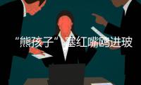 “熊孩子”塞红嘴鸥进玻璃瓶
�，护鸥队�：抓鸥虐鸥有
，但比以前少