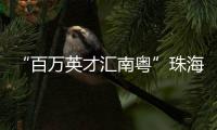 快排公司十年历程，霸屏兔 seo 的崛起与坚守