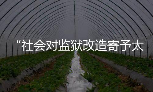 危急驾驶等行为的对监定罪中