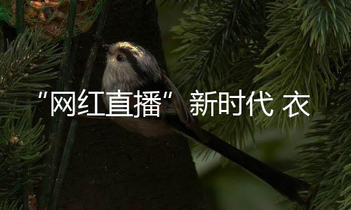 统一的网红直播自拍杆大手机