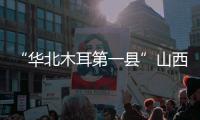 “华北木耳第一县”山西中阳
：黑木耳成“富民恒业”