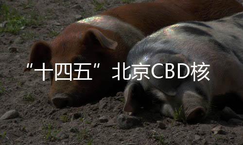 实施新一轮百万亩造林工程