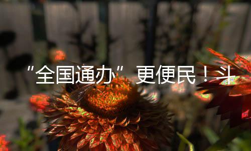 全国通办”邓先生期待着