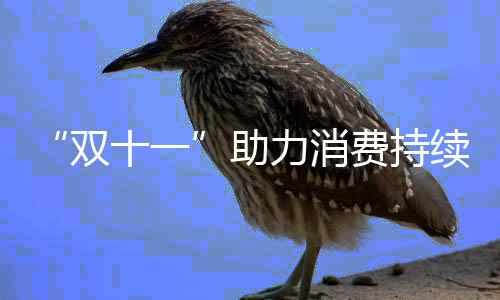 双十一得益于新服务