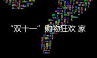 “双十一”购物狂欢 家具企业如何经营?