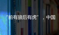 “前有狼后有虎”，中国第三大动力电池生产商赴港上市