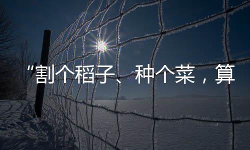 河北省邢台市某小学