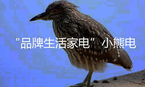 获得轻快愉快的生活享受