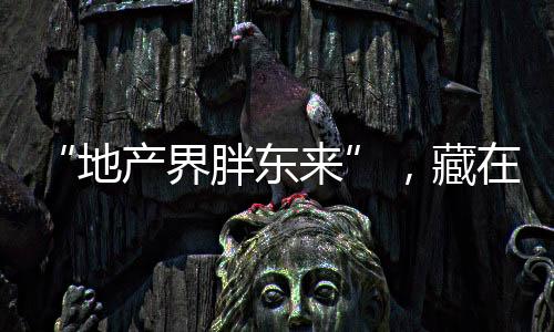 金沙这样的地产东藏县城房企