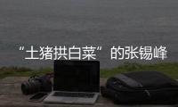 “土猪拱白菜”的张锡峰：浙大毕业却两手空空，被南科大老师调侃
