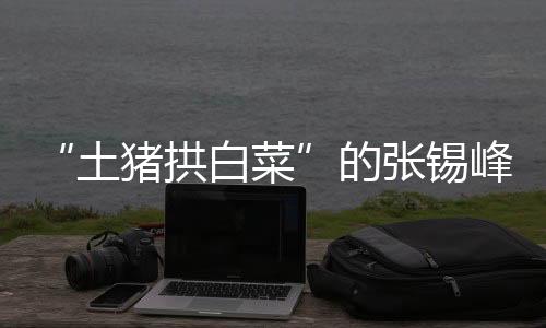 这可真是拱白两手空空的典型