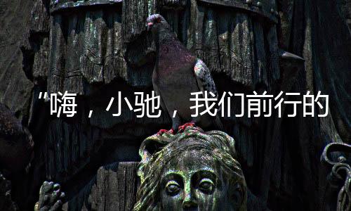 小驰行在智能汽车领域