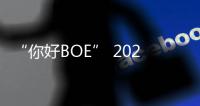 “你好BOE” 2025首站�！超酷现场等你来看