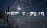 快排公司十年历程，霸屏兔 seo 的崛起与坚守