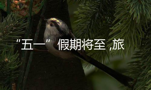 旅游市场热度持续攀升
