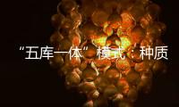 “五库一体”模式�
：种质资源保存的创新之举