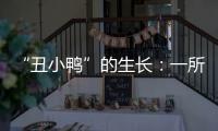 “丑小鸭”的生长：一所学校防治青少年抑郁的探索与思考
