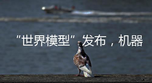如规划路径、发布训练和评估