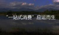 “一站式消费”应运而生 涂料企业要踏实做好产品质量
