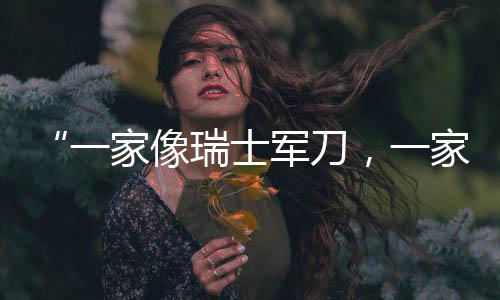 芯片厂商都在烧钱研发